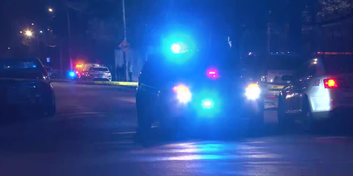 Teenage boy dead in California Neighborhood double shooting Teenage boy dead in California Neighborhood double shooting