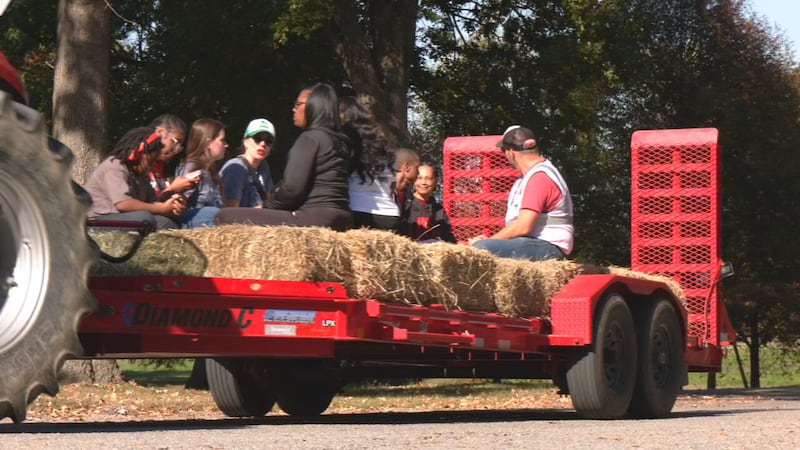 Hayride in the Park