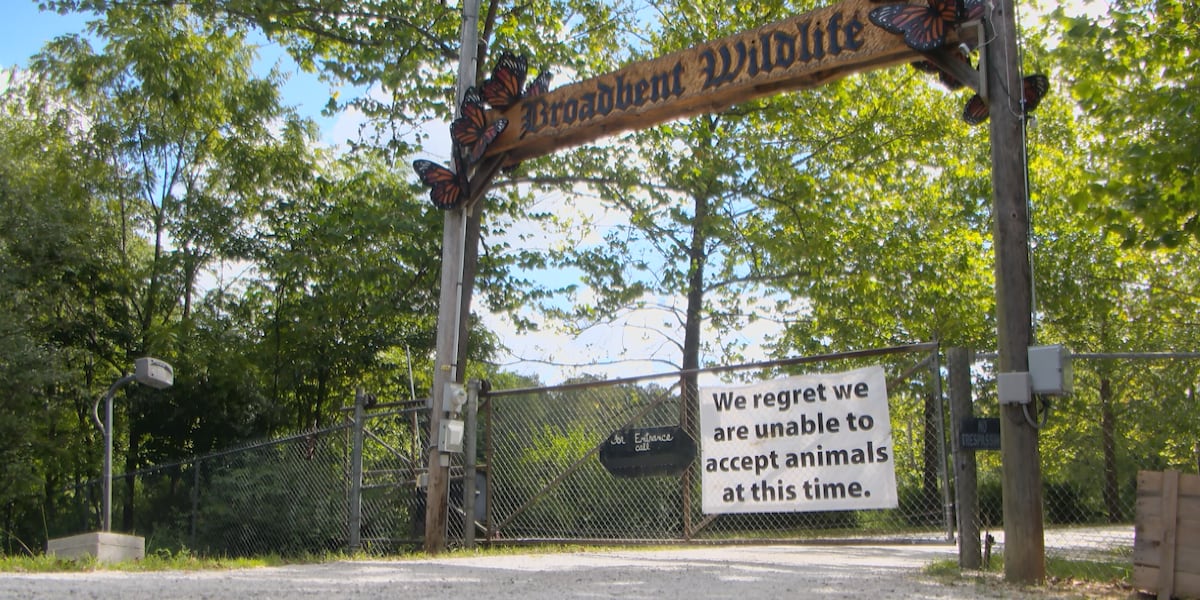 Wildlife rescue volunteers object to plans to euthanize 22 healthy fawns in Meade County