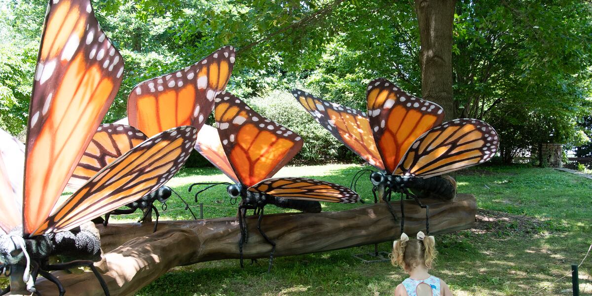 Louisville Zoo exhibit puts giant, animatronic bugs on display