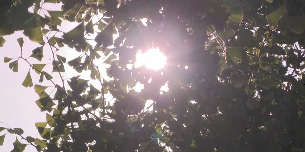 FORECAST: The heat returns on Tuesday