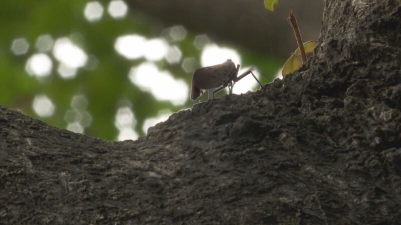 As spring settles in across 21Country, state officials are warning residents to be on the...