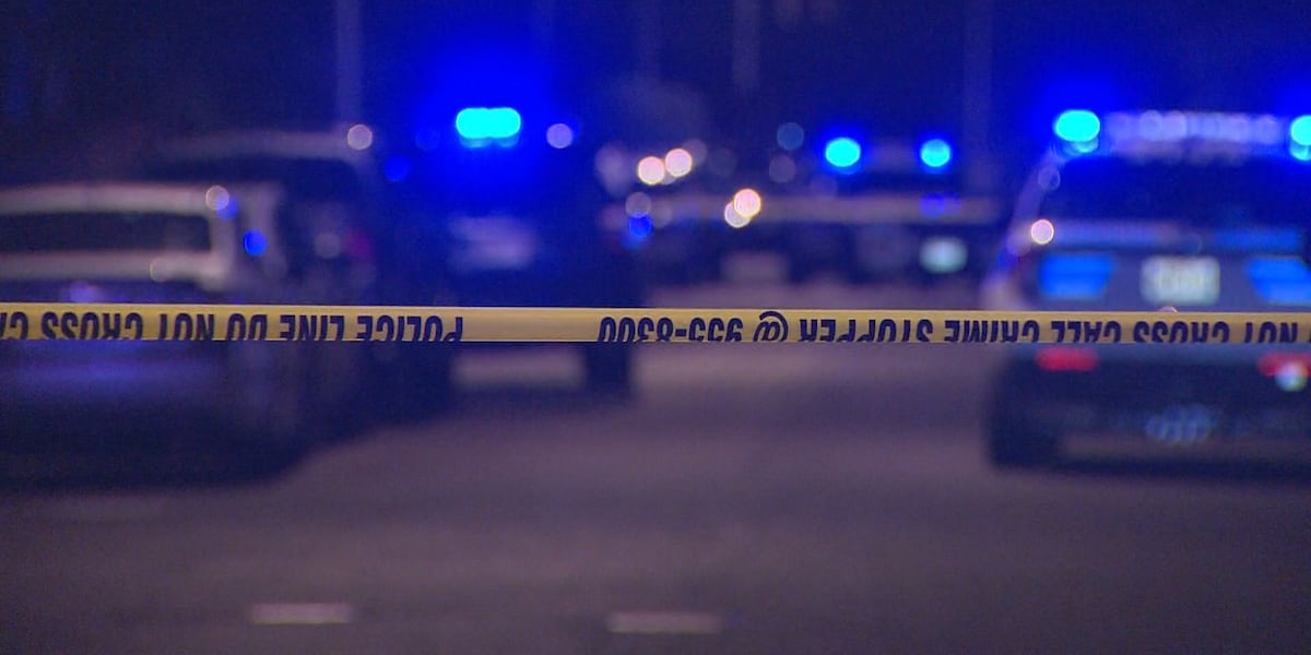 1 dead in the after crash involving a car and pedestrian