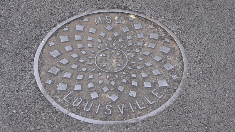 Louisville MSD sewer.