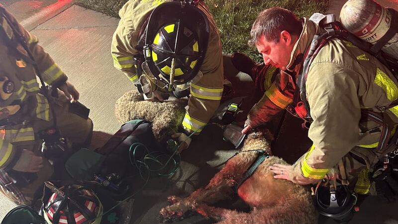 Source: Anchorage Middletown Fire & EMS