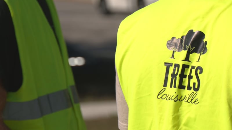 Volunteers with Trees Louisville planted 34 trees Thursday near Hubbards Lane