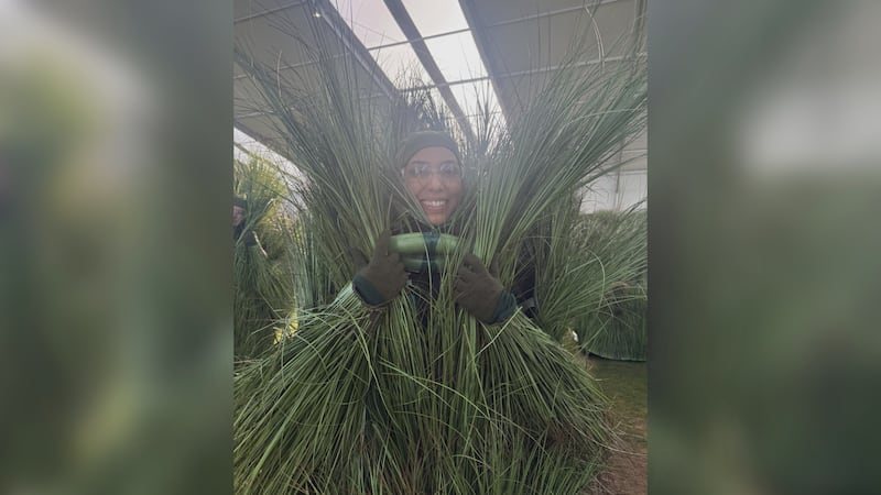 Jasmine Proaño was one of about 200 people who were dressed as grass.