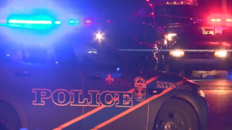 Proposed budget cuts could mean fewer police officers, firefighters, EMTs and corrections...