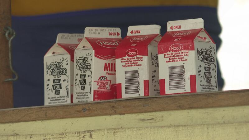 Milk Cartons Generic