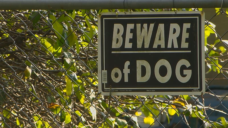 One many lost control of his dogs breeding. More than a year later, neither he or the city has...