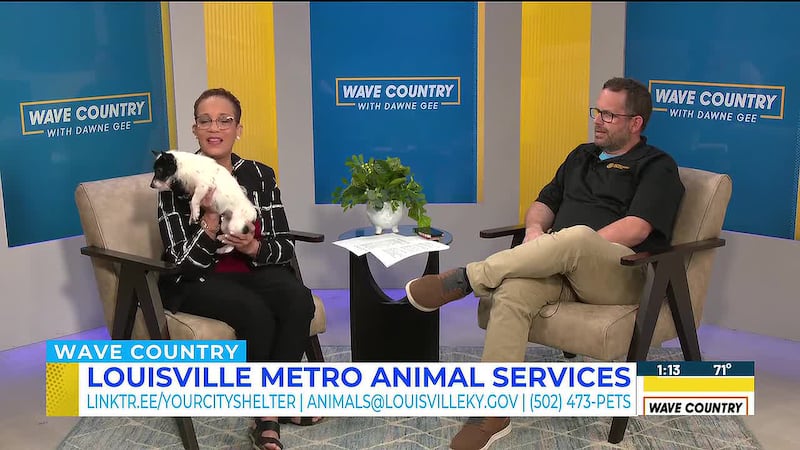 Dawne Gee welcomes Louisville Metro Animal Services to the WAVE Country studio to highlight...
