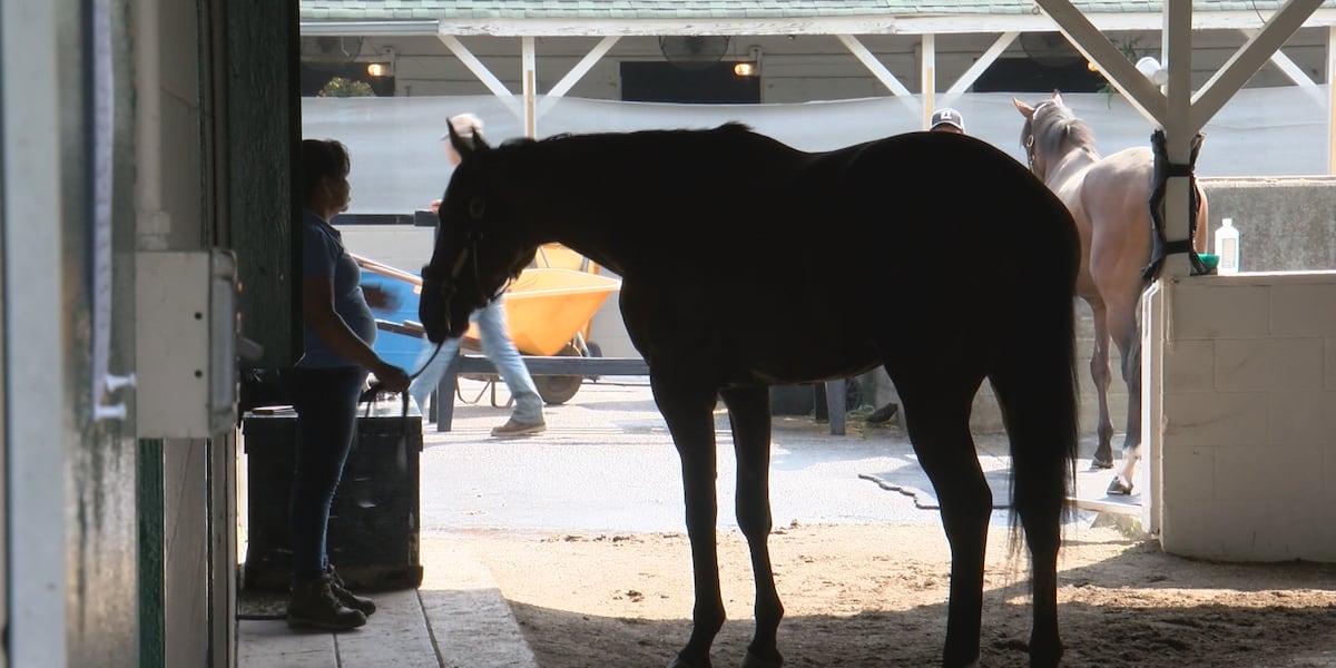 New racing series announced to determine 3-year-old champion