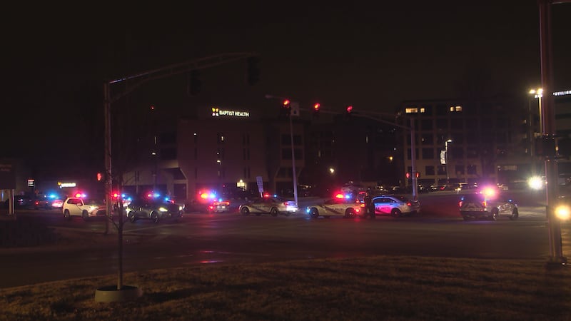 A woman is facing charges of wanton endangerment and criminal mischief after firing shots in a...