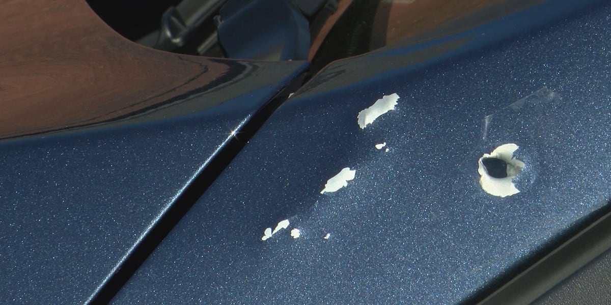 Limerick gun battle lasts half-mile, riddles neighborhood with bullet holes