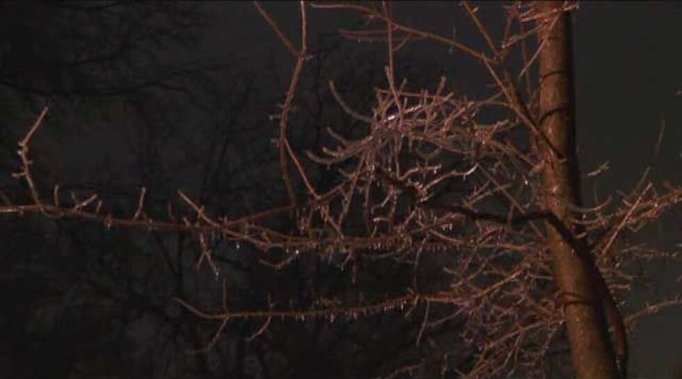 Part of an ice-encased tree broke off and crashed into three apartments.