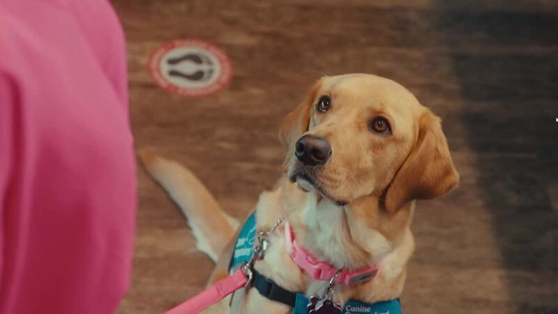 Shannon Cogan's Son Colt and his Service Dog Wink Featured in New Campaign