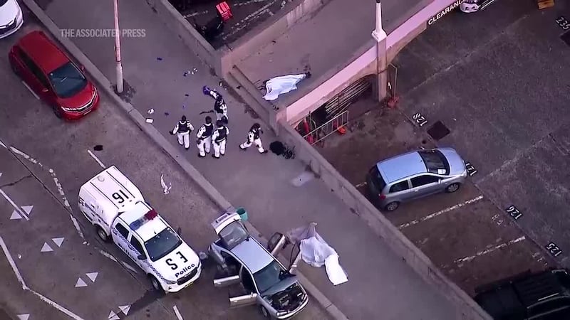 Two gunmen shot dead nine people on Sunday at Sydney’s Bondi Beach, and police killed one of...