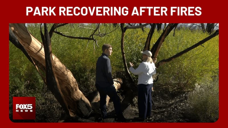 Months after a fire scorched more than 100 acres at Wetlands Park, new growth is emerging from...