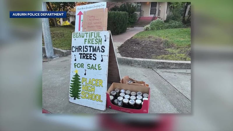 Police found jars of marijuana left near a high school Christmas tree sale.